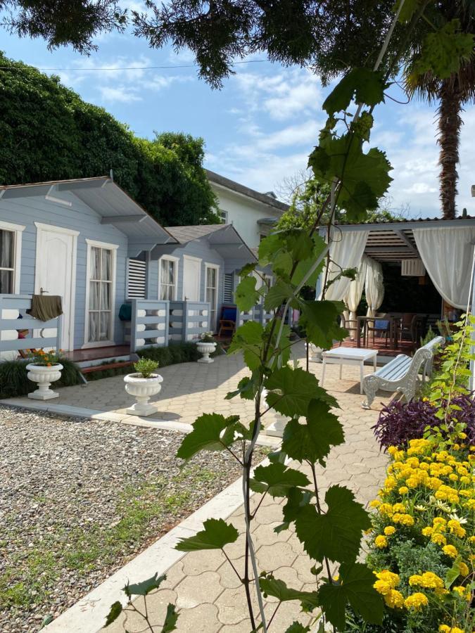 Эко Домики У Моря В Гаграх Gagra Exterior photo